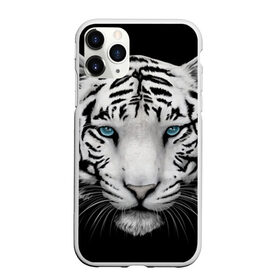 Чехол для iPhone 11 Pro Max матовый с принтом Белый тигр в Петрозаводске, Силикон |  | белый тигр | крупный тигр | крупным планом | с голубыми глазами | тигры
