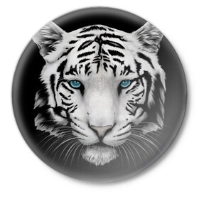 Значок с принтом Белый тигр в Петрозаводске,  металл | круглая форма, металлическая застежка в виде булавки | Тематика изображения на принте: белый тигр | крупный тигр | крупным планом | с голубыми глазами | тигры