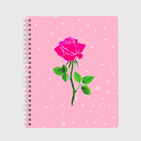 Тетрадь с принтом Роза на розовом в Петрозаводске, 100% бумага | 48 листов, плотность листов — 60 г/м2, плотность картонной обложки — 250 г/м2. Листы скреплены сбоку удобной пружинной спиралью. Уголки страниц и обложки скругленные. Цвет линий — светло-серый
 | женственно | красота | роза | розовый | снежинки | фуксия | цветок | шик