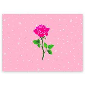 Поздравительная открытка с принтом Роза на розовом в Петрозаводске, 100% бумага | плотность бумаги 280 г/м2, матовая, на обратной стороне линовка и место для марки
 | женственно | красота | роза | розовый | снежинки | фуксия | цветок | шик