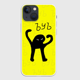 Чехол для iPhone 13 mini с принтом ЪУЪ СЪУКА в Петрозаводске,  |  | cat | mem | memes | злой | интернет | кот | мем | мем кот | приколы | съука | ъуъ | ъуъ съука