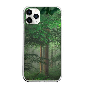 Чехол для iPhone 11 Pro Max матовый с принтом Тропический лес в Петрозаводске, Силикон |  | Тематика изображения на принте: деревья | джунгли | зеленый лес | зелень | лес | тропики | тропический лес