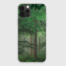 Чехол для iPhone 12 Pro Max с принтом Тропический лес в Петрозаводске, Силикон |  | деревья | джунгли | зеленый лес | зелень | лес | тропики | тропический лес