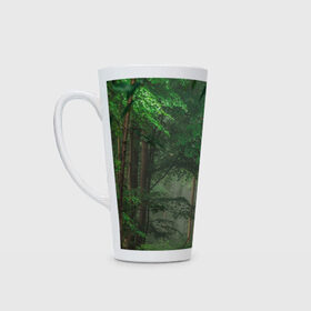 Кружка Латте с принтом Тропический лес в Петрозаводске, Белая керамика | Объем 480 мл; Высота 150 мм; Диаметр 90 мм | деревья | джунгли | зеленый лес | зелень | лес | тропики | тропический лес