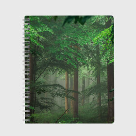 Тетрадь с принтом Тропический лес в Петрозаводске, 100% бумага | 48 листов, плотность листов — 60 г/м2, плотность картонной обложки — 250 г/м2. Листы скреплены сбоку удобной пружинной спиралью. Уголки страниц и обложки скругленные. Цвет линий — светло-серый
 | Тематика изображения на принте: деревья | джунгли | зеленый лес | зелень | лес | тропики | тропический лес