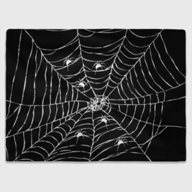 Плед 3D с принтом Паутина с пауками в Петрозаводске, 100% полиэстер | закругленные углы, все края обработаны. Ткань не мнется и не растягивается | Тематика изображения на принте: black and white | darkness | halloween | horror | night | spider | web | готика | жуки | жуткий | мальчикам | насекомые | нечисть | нити | ночные | ночь | пауки | паутина | подарок | сетка | страшный | темный | тьма | хеллоуин | хоррор