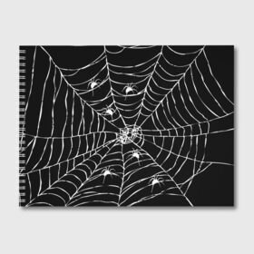 Альбом для рисования с принтом Паутина с пауками в Петрозаводске, 100% бумага
 | матовая бумага, плотность 200 мг. | black and white | darkness | halloween | horror | night | spider | web | готика | жуки | жуткий | мальчикам | насекомые | нечисть | нити | ночные | ночь | пауки | паутина | подарок | сетка | страшный | темный | тьма | хеллоуин | хоррор