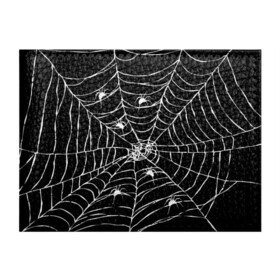 Обложка для студенческого билета с принтом Паутина с пауками в Петрозаводске, натуральная кожа | Размер: 11*8 см; Печать на всей внешней стороне | Тематика изображения на принте: black and white | darkness | halloween | horror | night | spider | web | готика | жуки | жуткий | мальчикам | насекомые | нечисть | нити | ночные | ночь | пауки | паутина | подарок | сетка | страшный | темный | тьма | хеллоуин | хоррор