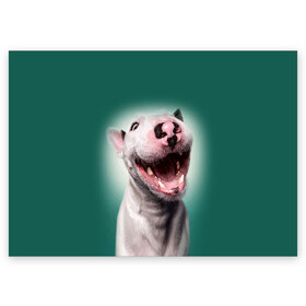 Поздравительная открытка с принтом Bully в Петрозаводске, 100% бумага | плотность бумаги 280 г/м2, матовая, на обратной стороне линовка и место для марки
 | Тематика изображения на принте: bull terrier | ears | eyes | fangs | jaw | muzzle | nose | smile | бультерьер | глаза | клыки | нос | пасть | улыбка | уши