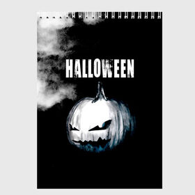 Скетчбук с принтом Halloween в Петрозаводске, 100% бумага
 | 48 листов, плотность листов — 100 г/м2, плотность картонной обложки — 250 г/м2. Листы скреплены сверху удобной пружинной спиралью | 31 октября | halloween | halowen | ведьма | день всех святых | джек | костюм | кровь | лого | монстр | надпись | праздник | приведение | призрак | светильник | символ | страшная | тыква | ужасы | хеллоуин | хеллуин