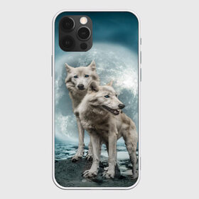 Чехол для iPhone 12 Pro Max с принтом Волки альбиносы в Петрозаводске, Силикон |  | Тематика изображения на принте: альбинос | волк | волки | волчата | волчонок | зверь
