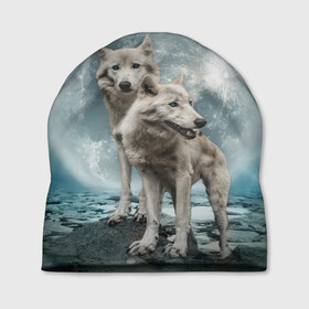 Шапка 3D с принтом Волки альбиносы в Петрозаводске, 100% полиэстер | универсальный размер, печать по всей поверхности изделия | альбинос | волк | волки | волчата | волчонок | зверь