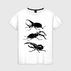 Женская футболка хлопок с принтом Черные Жуки в Петрозаводске, 100% хлопок | прямой крой, круглый вырез горловины, длина до линии бедер, слегка спущенное плечо | белое | графика | жуки | насекомые | черно белое | черное