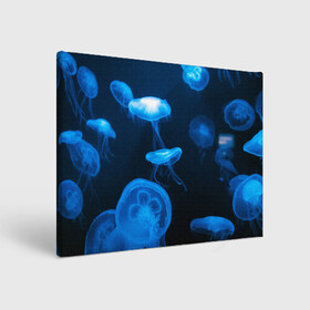Холст прямоугольный с принтом Медуза в Петрозаводске, 100% ПВХ |  | Тематика изображения на принте: medusozoa | медуза | медузы | морское животное | ядовитая медуза