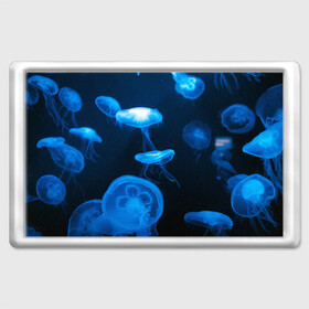 Магнит 45*70 с принтом Медуза в Петрозаводске, Пластик | Размер: 78*52 мм; Размер печати: 70*45 | Тематика изображения на принте: medusozoa | медуза | медузы | морское животное | ядовитая медуза