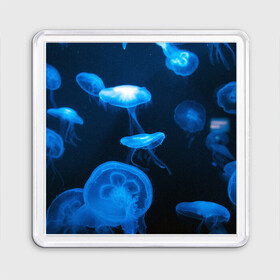 Магнит 55*55 с принтом Медуза в Петрозаводске, Пластик | Размер: 65*65 мм; Размер печати: 55*55 мм | Тематика изображения на принте: medusozoa | медуза | медузы | морское животное | ядовитая медуза