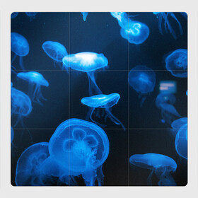 Магнитный плакат 3Х3 с принтом Медуза в Петрозаводске, Полимерный материал с магнитным слоем | 9 деталей размером 9*9 см | Тематика изображения на принте: medusozoa | медуза | медузы | морское животное | ядовитая медуза
