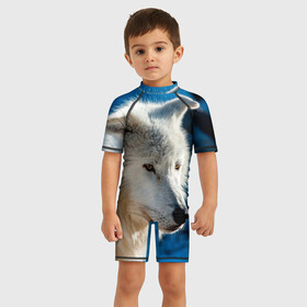 Детский купальный костюм 3D с принтом Волк на черном фоне в Петрозаводске, Полиэстер 85%, Спандекс 15% | застежка на молнии на спине | wolf | wolfs | волк | волки | волчара | животные | звери | лес | природа