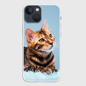 Чехол для iPhone 13 mini с принтом Бенгальский кот в Петрозаводске,  |  | cat | животные | звири | кис | киска | кот | котейка | котик | коты | котяра | кошка | кошки | природа