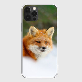 Чехол для iPhone 12 Pro Max с принтом Лисичка в снегу в Петрозаводске, Силикон |  | fox | foxy | животные | звери | зима | зимняя | лиса | лисичка | лисы | природа | снег | снежная