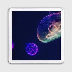 Магнит 55*55 с принтом Фантастическая медуза в Петрозаводске, Пластик | Размер: 65*65 мм; Размер печати: 55*55 мм | Тематика изображения на принте: медуза | медуза в море | морская медуза | плавающая медуза | светящаяся медуза