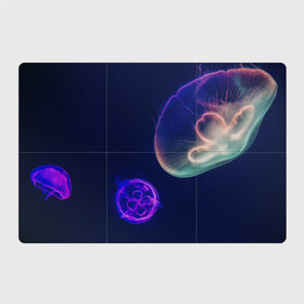 Магнитный плакат 3Х2 с принтом Фантастическая медуза в Петрозаводске, Полимерный материал с магнитным слоем | 6 деталей размером 9*9 см | медуза | медуза в море | морская медуза | плавающая медуза | светящаяся медуза