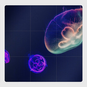 Магнитный плакат 3Х3 с принтом Фантастическая медуза в Петрозаводске, Полимерный материал с магнитным слоем | 9 деталей размером 9*9 см | медуза | медуза в море | морская медуза | плавающая медуза | светящаяся медуза