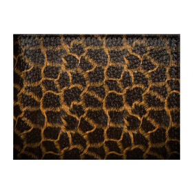 Обложка для студенческого билета с принтом Леопард в Петрозаводске, натуральная кожа | Размер: 11*8 см; Печать на всей внешней стороне | Тематика изображения на принте: леопард | леопардовые пятна | пятна леопарда