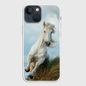 Чехол для iPhone 13 mini с принтом Лошадь в Петрозаводске,  |  | животные | звери | кони | конь | коняшка | лошади | лошадка | лошадь | пони | природа