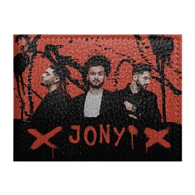 Обложка для студенческого билета с принтом Jony в Петрозаводске, натуральная кожа | Размер: 11*8 см; Печать на всей внешней стороне | Тематика изображения на принте: jony | pop | музыка | поп | русская музыка | ты беспощадна
