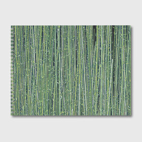 Альбом для рисования с принтом Зеленый бамбук в Петрозаводске, 100% бумага
 | матовая бумага, плотность 200 мг. | bamboo | forest | stripes | бамбук | заросли | лес | листья | полосы | растения