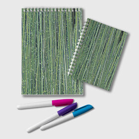 Блокнот с принтом Зеленый бамбук в Петрозаводске, 100% бумага | 48 листов, плотность листов — 60 г/м2, плотность картонной обложки — 250 г/м2. Листы скреплены удобной пружинной спиралью. Цвет линий — светло-серый
 | Тематика изображения на принте: bamboo | forest | stripes | бамбук | заросли | лес | листья | полосы | растения