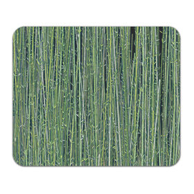 Коврик для мышки прямоугольный с принтом Зеленый бамбук в Петрозаводске, натуральный каучук | размер 230 х 185 мм; запечатка лицевой стороны | bamboo | forest | stripes | бамбук | заросли | лес | листья | полосы | растения