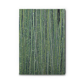 Обложка для автодокументов с принтом Зеленый бамбук в Петрозаводске, натуральная кожа |  размер 19,9*13 см; внутри 4 больших “конверта” для документов и один маленький отдел — туда идеально встанут права | Тематика изображения на принте: bamboo | forest | stripes | бамбук | заросли | лес | листья | полосы | растения