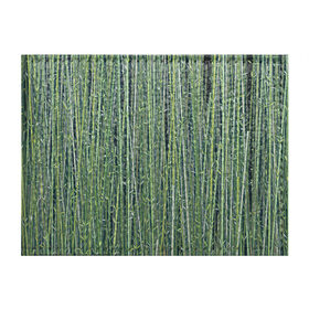 Обложка для студенческого билета с принтом Зеленый бамбук в Петрозаводске, натуральная кожа | Размер: 11*8 см; Печать на всей внешней стороне | Тематика изображения на принте: bamboo | forest | stripes | бамбук | заросли | лес | листья | полосы | растения