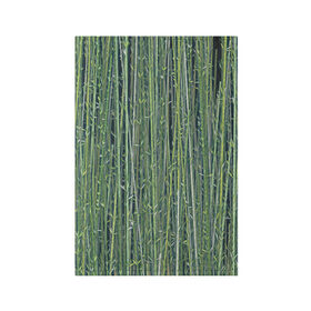 Обложка для паспорта матовая кожа с принтом Зеленый бамбук в Петрозаводске, натуральная матовая кожа | размер 19,3 х 13,7 см; прозрачные пластиковые крепления | Тематика изображения на принте: bamboo | forest | stripes | бамбук | заросли | лес | листья | полосы | растения