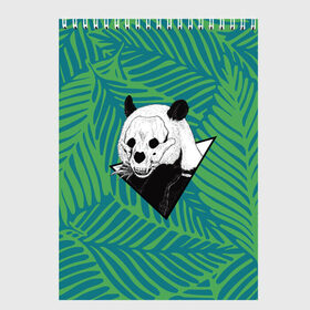 Скетчбук с принтом Панда нежить в Петрозаводске, 100% бумага
 | 48 листов, плотность листов — 100 г/м2, плотность картонной обложки — 250 г/м2. Листы скреплены сверху удобной пружинной спиралью | Тематика изображения на принте: бамбук | зверь | листья | медведь | треугольник | череп