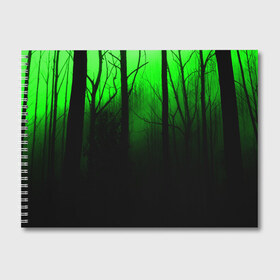 Альбом для рисования с принтом G-loomy в Петрозаводске, 100% бумага
 | матовая бумага, плотность 200 мг. | Тематика изображения на принте: fog | forest | gloomy | green fog | night | radiation | trees | деревья | зеленый туман | лес | мрачный | ночь | радиация | туман