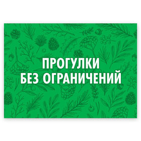 Поздравительная открытка с принтом Прогулки без ограничений в Петрозаводске, 100% бумага | плотность бумаги 280 г/м2, матовая, на обратной стороне линовка и место для марки
 | 