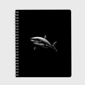 Тетрадь с принтом Акула в Петрозаводске, 100% бумага | 48 листов, плотность листов — 60 г/м2, плотность картонной обложки — 250 г/м2. Листы скреплены сбоку удобной пружинной спиралью. Уголки страниц и обложки скругленные. Цвет линий — светло-серый
 | акула | акулы | морские животные | рыбы | хищники