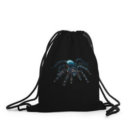 Рюкзак-мешок 3D с принтом Паук в Петрозаводске, 100% полиэстер | плотность ткани — 200 г/м2, размер — 35 х 45 см; лямки — толстые шнурки, застежка на шнуровке, без карманов и подкладки | насекомые | паук | паук птицеед | пауки | тарантул