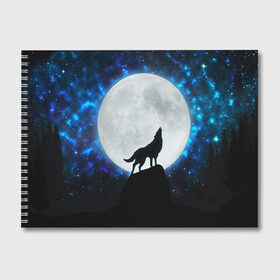 Альбом для рисования с принтом Волк воющий на луну в Петрозаводске, 100% бумага
 | матовая бумага, плотность 200 мг. | Тематика изображения на принте: wolf | волк | волки | волчица | животные | одинокий волк