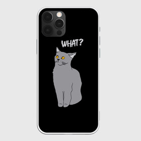 Чехол для iPhone 12 Pro с принтом What cat в Петрозаводске, силикон | область печати: задняя сторона чехла, без боковых панелей | Тематика изображения на принте: cat | kitten | kitty | what кот | британская кошка | британский кот | в смысле | взгляд | вопрос | вопросительный знак | глаза кота | животные | кот мем | котенок | котик | котята | кошак | кошка | мемы