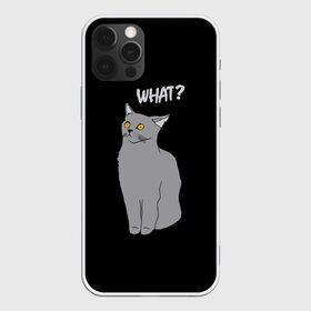 Чехол для iPhone 12 Pro Max с принтом What cat в Петрозаводске, Силикон |  | cat | kitten | kitty | what кот | британская кошка | британский кот | в смысле | взгляд | вопрос | вопросительный знак | глаза кота | животные | кот мем | котенок | котик | котята | кошак | кошка | мемы