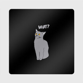 Магнит виниловый Квадрат с принтом What cat в Петрозаводске, полимерный материал с магнитным слоем | размер 9*9 см, закругленные углы | Тематика изображения на принте: cat | kitten | kitty | what кот | британская кошка | британский кот | в смысле | взгляд | вопрос | вопросительный знак | глаза кота | животные | кот мем | котенок | котик | котята | кошак | кошка | мемы