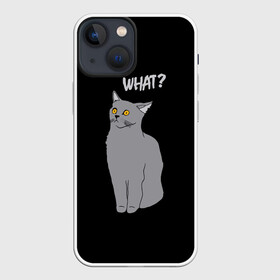 Чехол для iPhone 13 mini с принтом What cat в Петрозаводске,  |  | cat | kitten | kitty | what кот | британская кошка | британский кот | в смысле | взгляд | вопрос | вопросительный знак | глаза кота | животные | кот мем | котенок | котик | котята | кошак | кошка | мемы