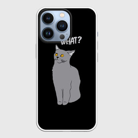 Чехол для iPhone 13 Pro с принтом What cat в Петрозаводске,  |  | Тематика изображения на принте: cat | kitten | kitty | what кот | британская кошка | британский кот | в смысле | взгляд | вопрос | вопросительный знак | глаза кота | животные | кот мем | котенок | котик | котята | кошак | кошка | мемы