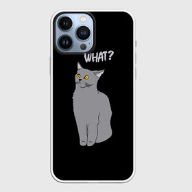 Чехол для iPhone 13 Pro Max с принтом What cat в Петрозаводске,  |  | cat | kitten | kitty | what кот | британская кошка | британский кот | в смысле | взгляд | вопрос | вопросительный знак | глаза кота | животные | кот мем | котенок | котик | котята | кошак | кошка | мемы