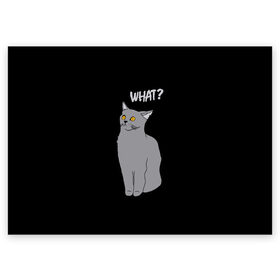 Поздравительная открытка с принтом What cat в Петрозаводске, 100% бумага | плотность бумаги 280 г/м2, матовая, на обратной стороне линовка и место для марки
 | cat | kitten | kitty | what кот | британская кошка | британский кот | в смысле | взгляд | вопрос | вопросительный знак | глаза кота | животные | кот мем | котенок | котик | котята | кошак | кошка | мемы