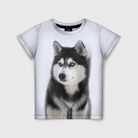 Детская футболка 3D с принтом ХАСКИ в Петрозаводске, 100% гипоаллергенный полиэфир | прямой крой, круглый вырез горловины, длина до линии бедер, чуть спущенное плечо, ткань немного тянется | Тематика изображения на принте: dog | husky | милый | пес | песик | собака | собачка | хаски | щенок